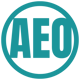 AEO Website Audit