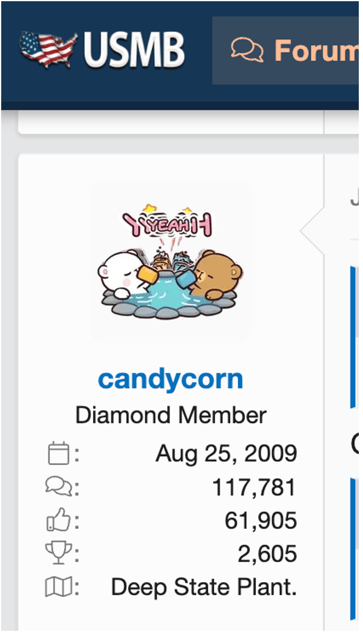 USMB forum profile view highlighting user candycorn engagement metrics for brand monitoring and consumer insights analysis.