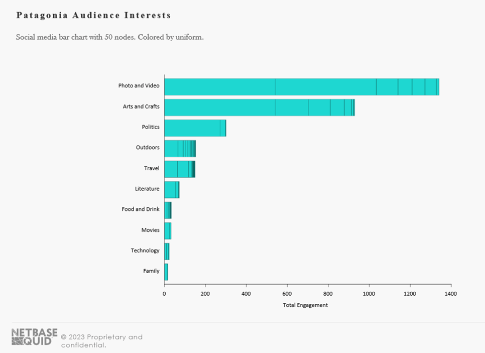 patagonia-audience-interests